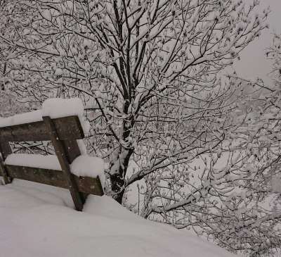 Winterimpressionen aus Reith im Alpbachtal, © Rendl Elisabeth