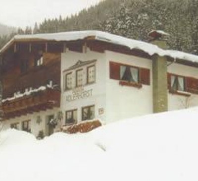 Winterbild Adlerhorst