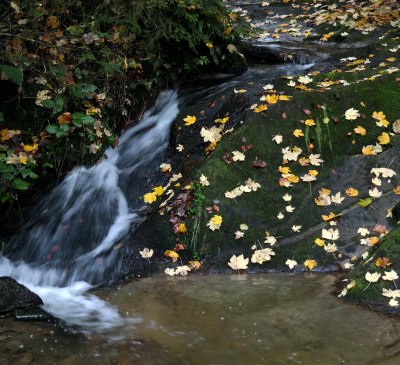 Herbststimmung, © Ferienwohnungen Raczkowski