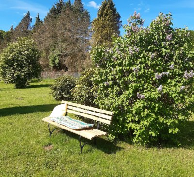 Bankerl im Garten, © Silvia Pausch