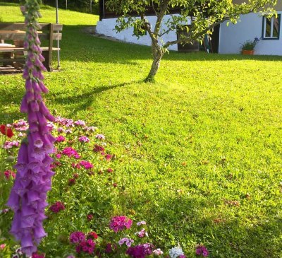 Ferienhaus Garten im Sommer Ferienhaus Koglegg