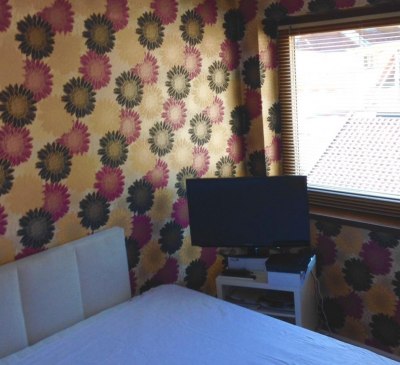 Alpencrysantheme Schlafzimmer