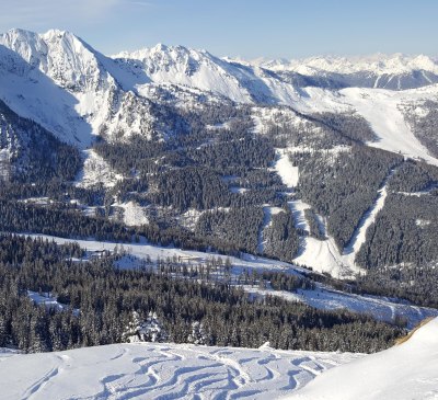 Blick in die Alm