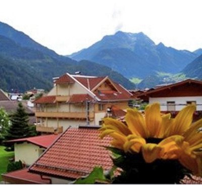 Alpencrysantheme Ausblick