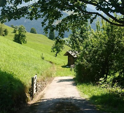 Wanderweg im Alpbachtal