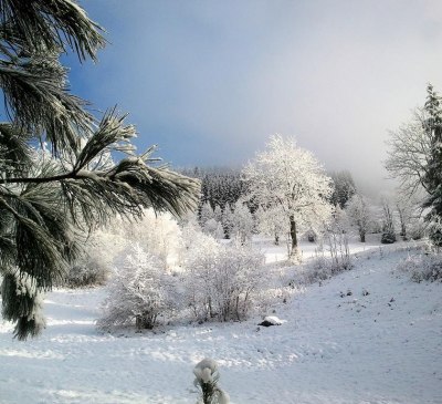 winterliche Umgebung