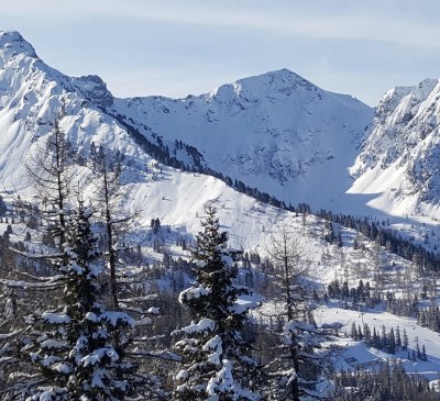 Winter panorama