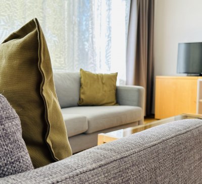 Komfort Apartment - Couchsessel im Wohnzimmer