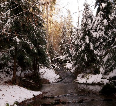 Winter am Falkenbach, © Ferienwohnungen Raczkowski