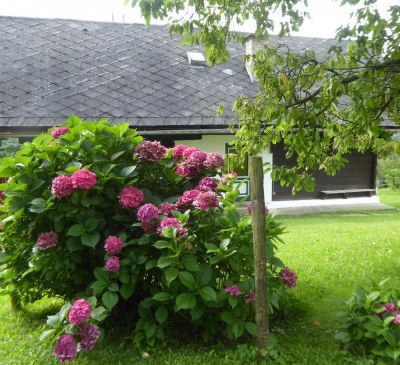 Ferienhaus Koglegg im August 2002