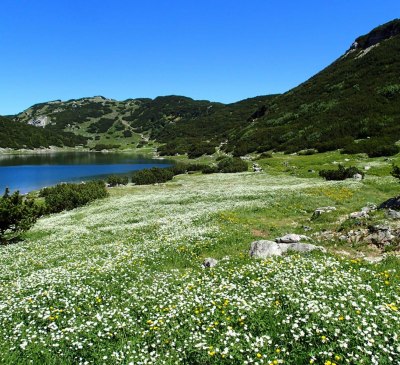 Sommer im Zillertal, © Maria Pfister