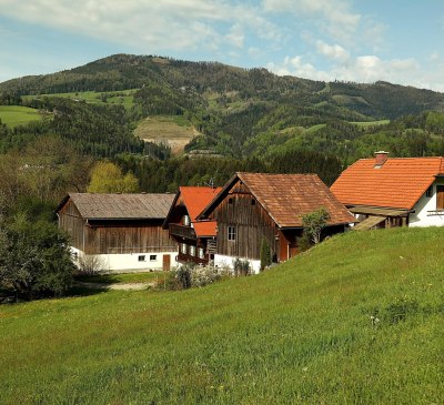 Das Ensemble der Ferienwohnungen und Hoher Zetz, © Ferienwohnungen Raczkowski