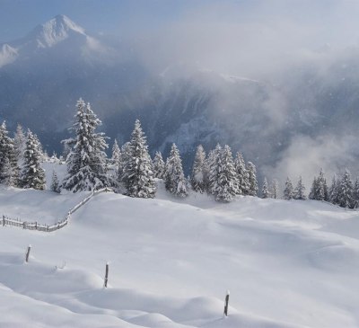 Winter am Berg